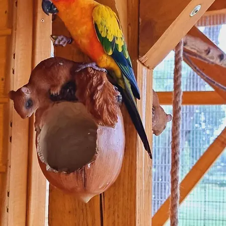 Hotel Mikorzyn Ślesin