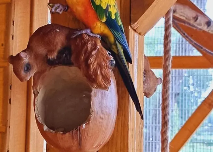 酒店 Mikorzyn Ślesin